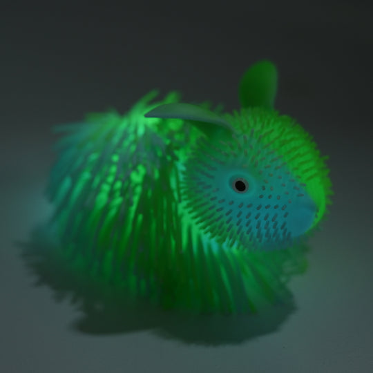 Light-Up Squishy Puffer Sensory Toy