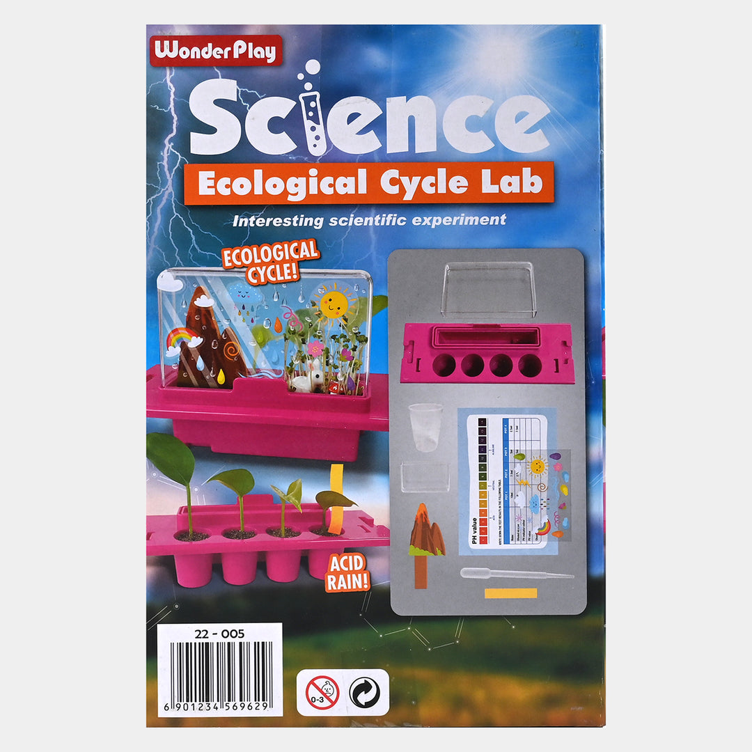 Science Ecological Cycle Lab