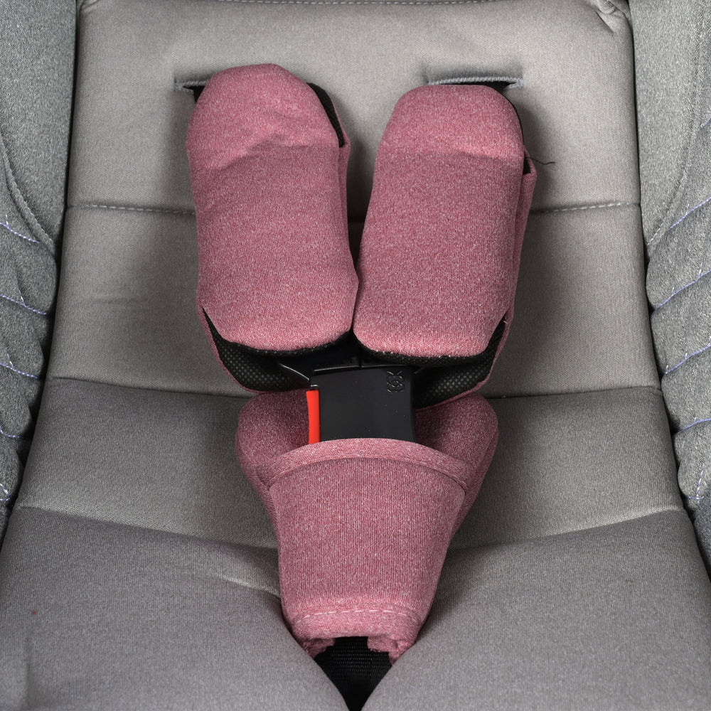 Carry Cot (Infantes) 234