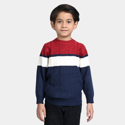 Boys Knitted Full Sleeves Sweater - Multi