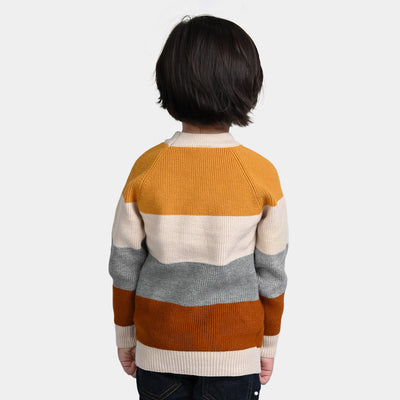 Boys Knitted Full Sleeves Sweater - Multi