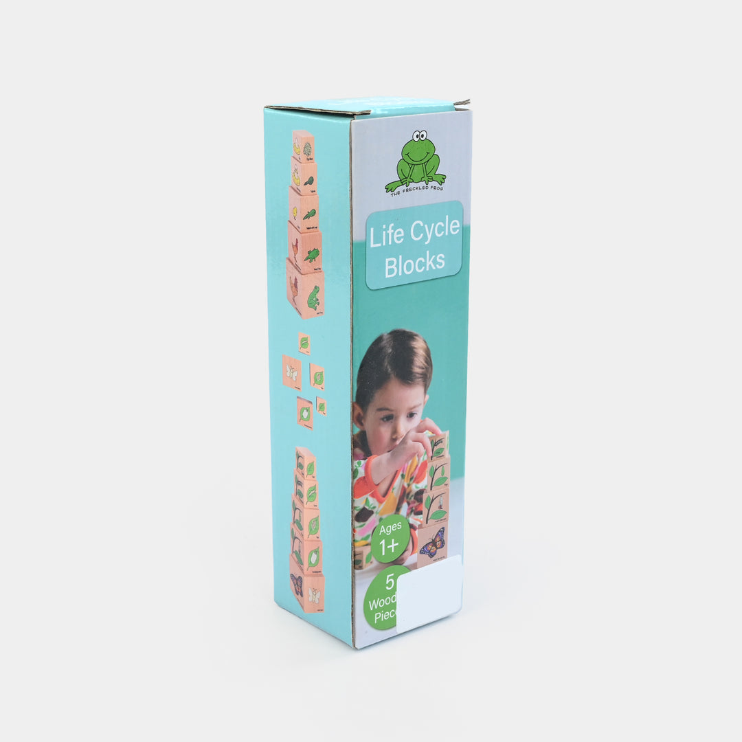Wooden Little Life Cycle Blocks