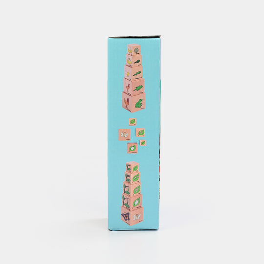 Wooden Little Life Cycle Blocks