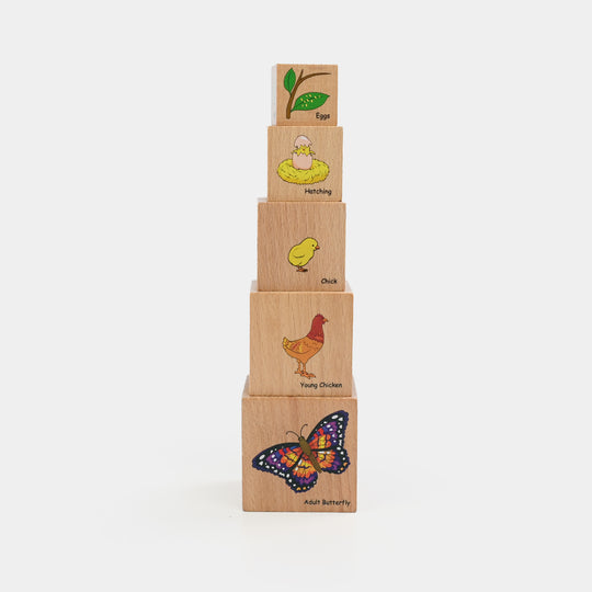 Wooden Little Life Cycle Blocks