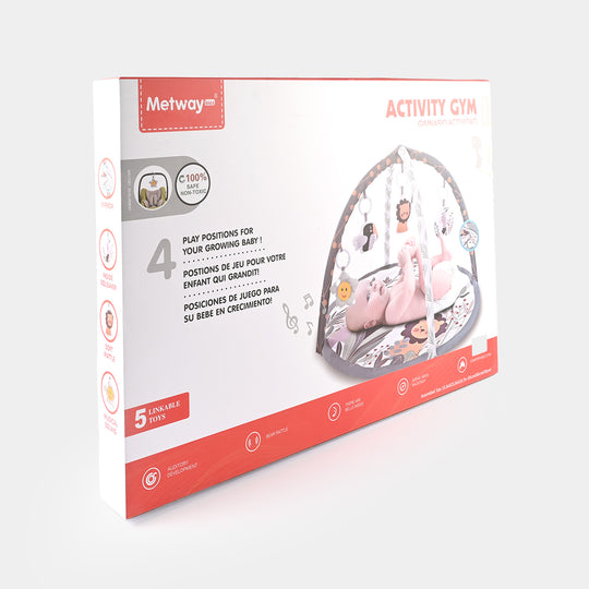 Baby Activity Play Gym