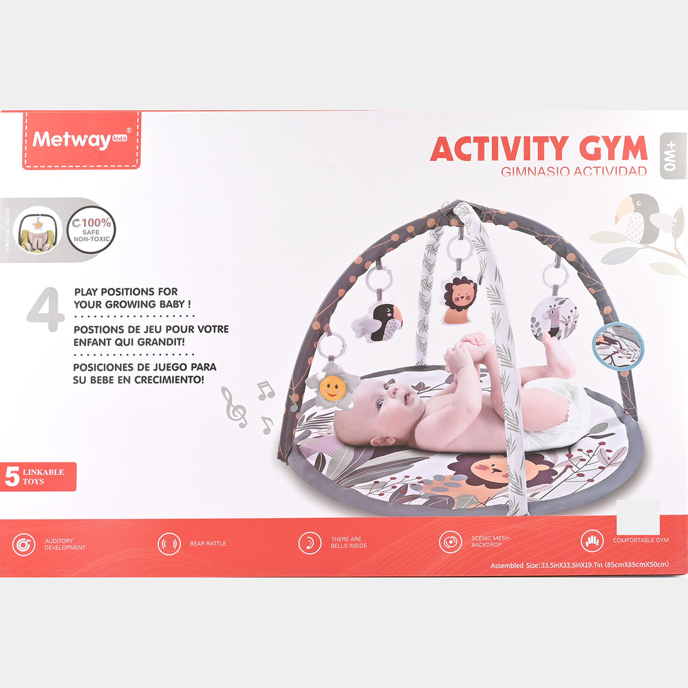 Baby Activity Play Gym
