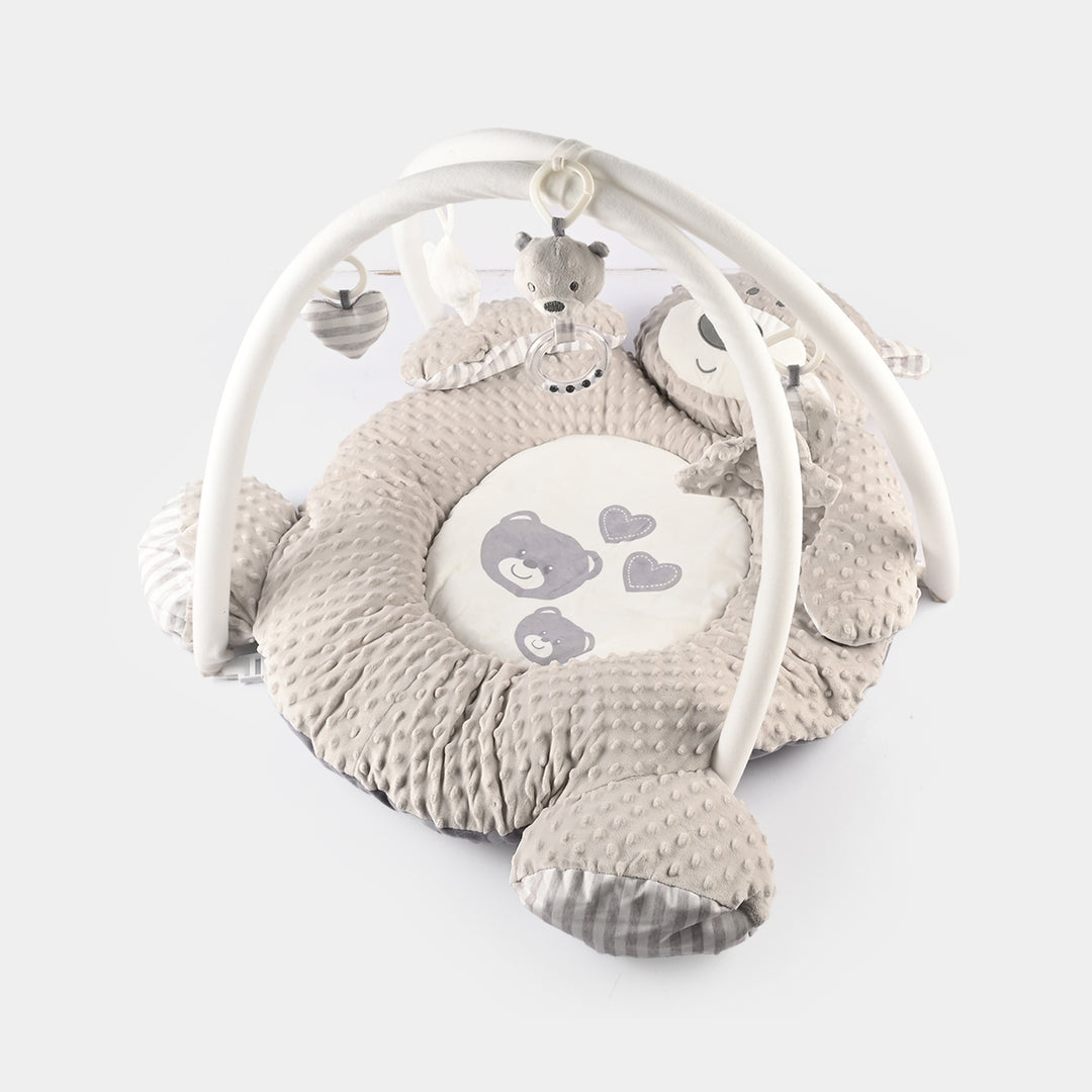 Baby Activity Play Gym
