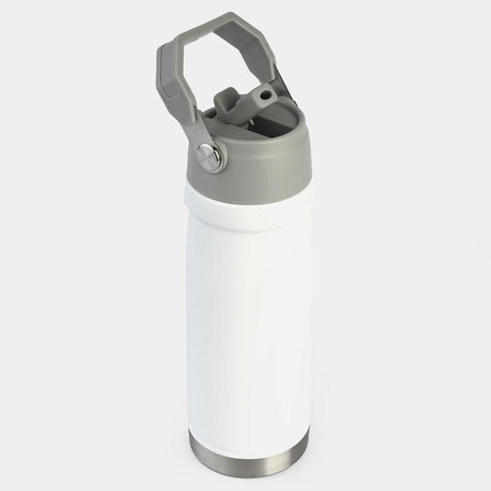 WATER BOTTLE STAINLESS STEEL | 650ML