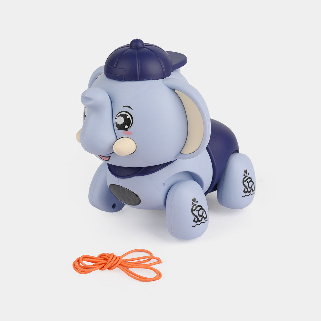 Electric Animal Toy with Light & Sound