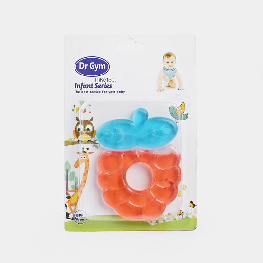 Infant Baby Teether 6M+