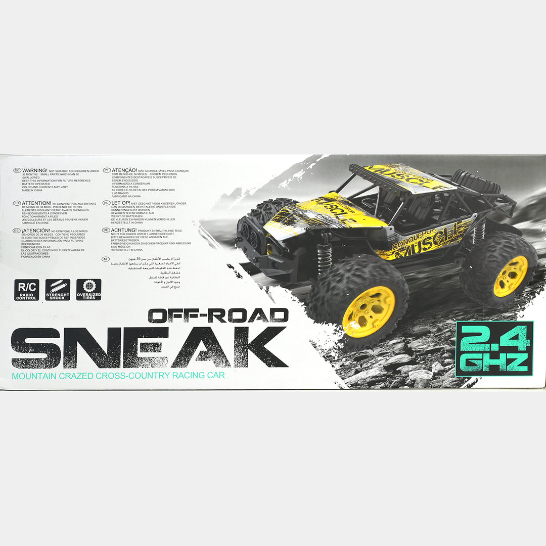 Remote Control High-Speed Off Road Car for Kids