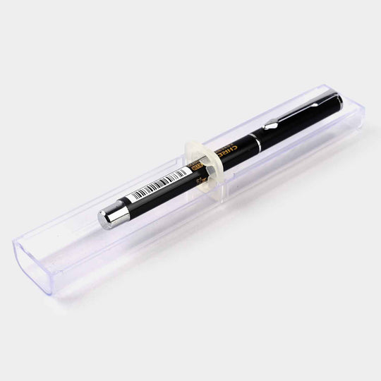 Fancy Fountain Ink Pen With Plastic Case
