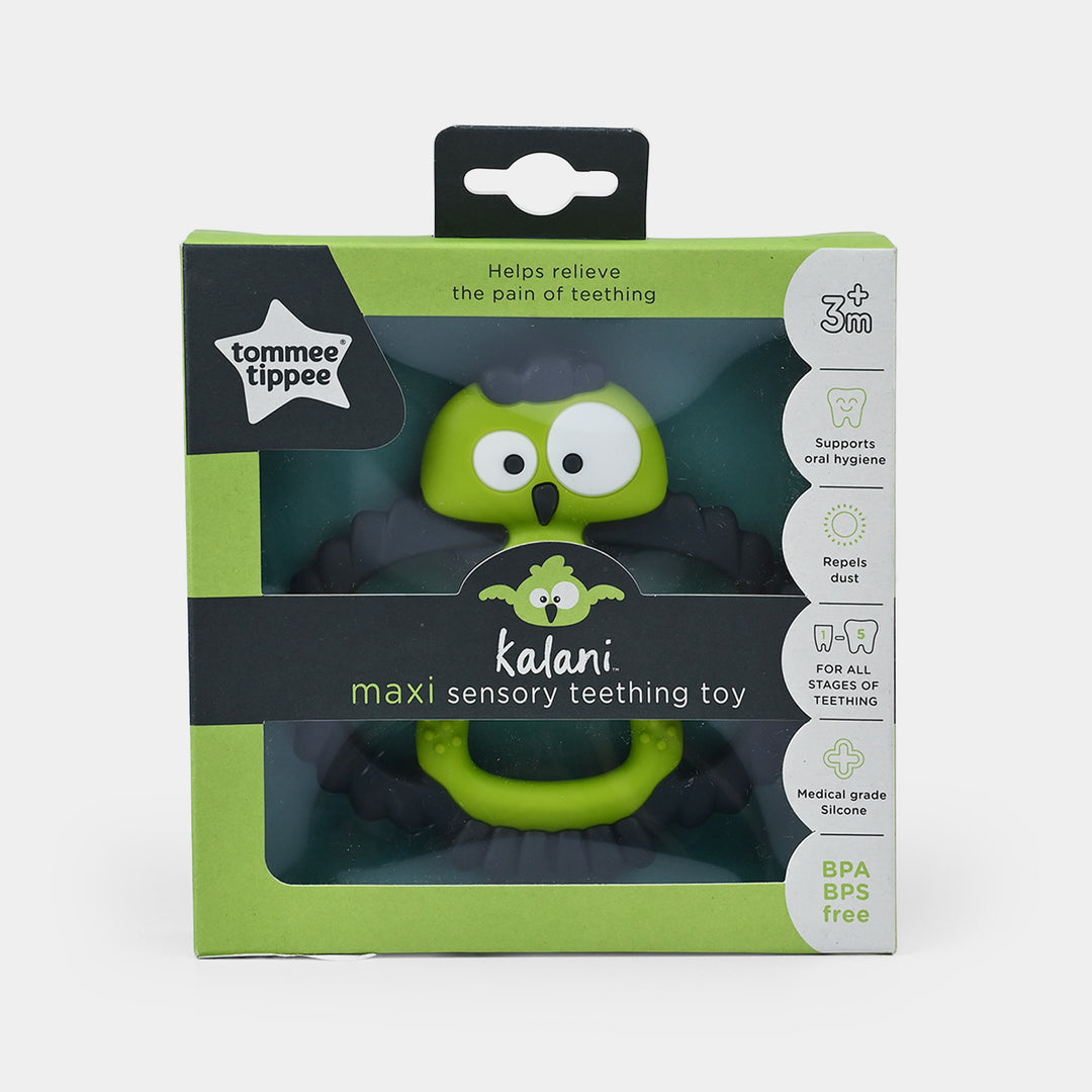 Mini Sensory Teething Toy 3M+