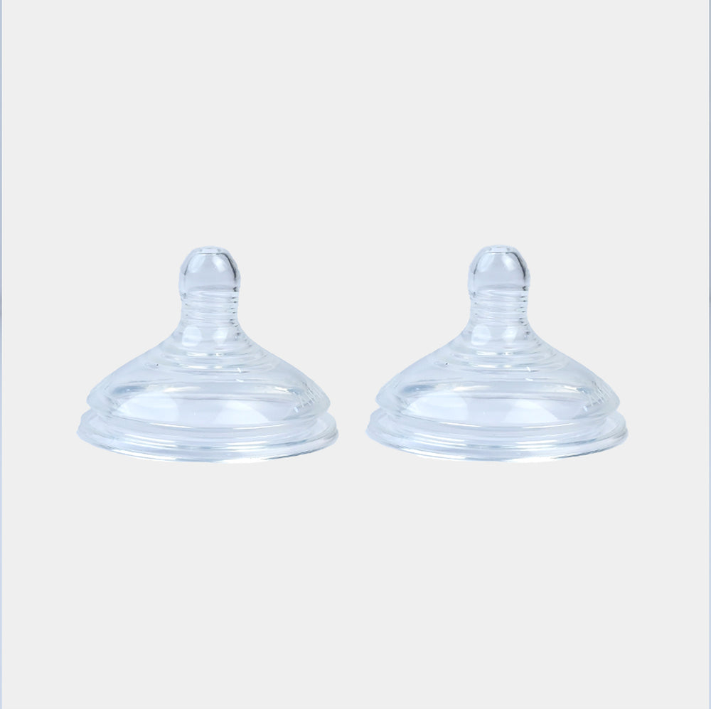 Natural Start Slow Flow Soft Teat 2-PK