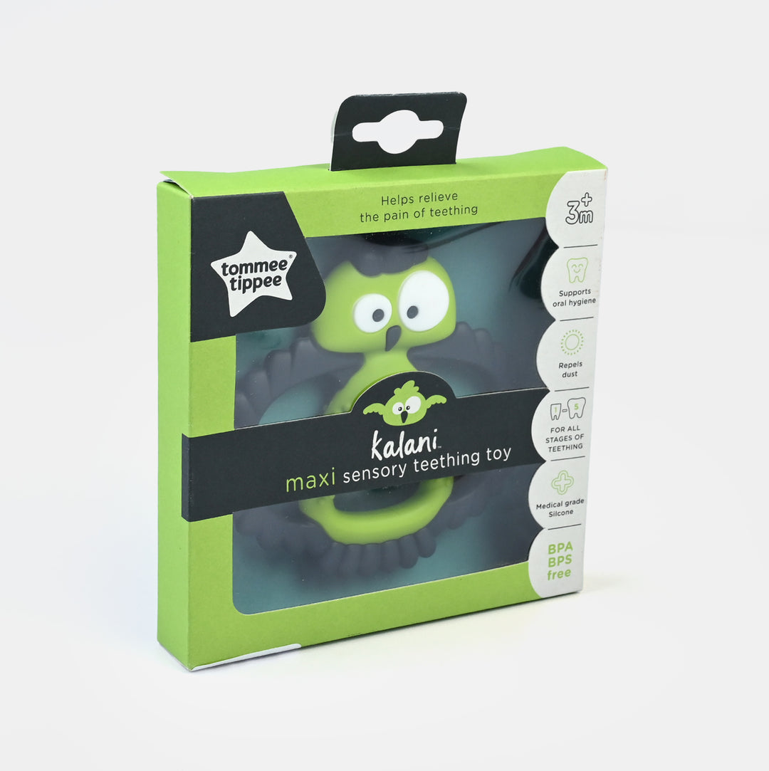 Mini Sensory Teething Toy 3M+