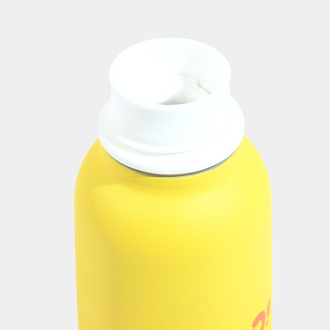 Water Bottle Stainless Steel