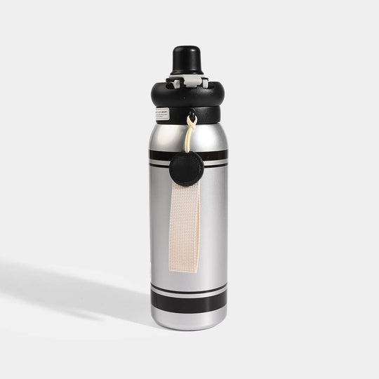 Stainless Steel Water Bottle | 650Ml