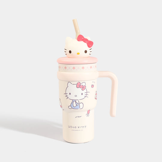 Stainless Steel Water Bottle | 700ml