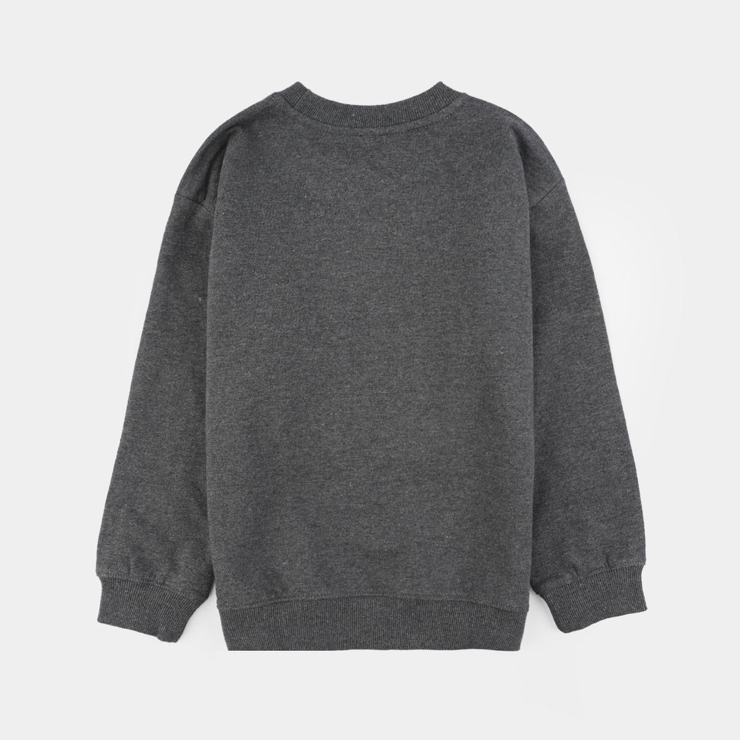 Boys Jersey/Terry Sweatshirt Character