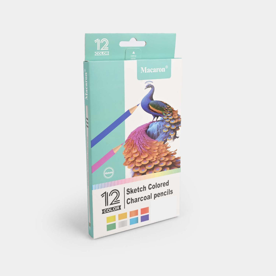 Sketch Colored Charcoal Pencils | 12PCs