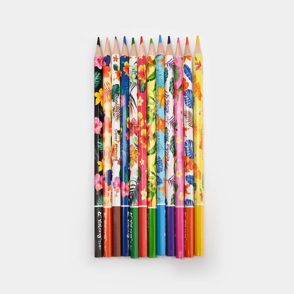 Color Pencil For Litte Artist