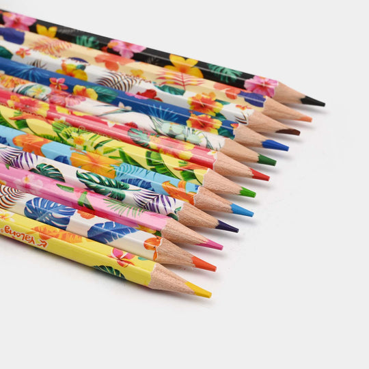 Color Pencil For Litte Artist