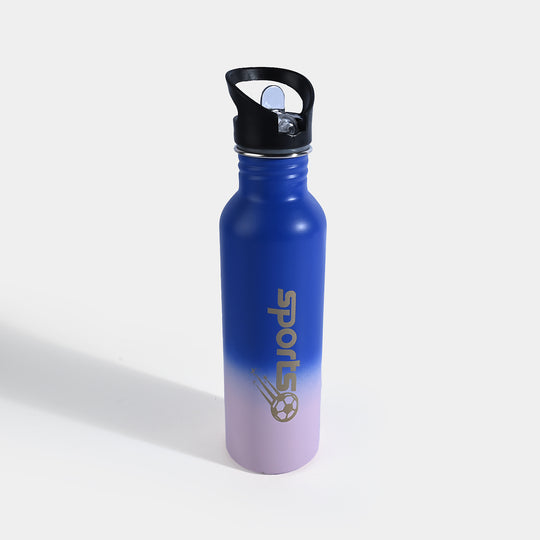 WATER BOTTLE STAINLESS STEEL