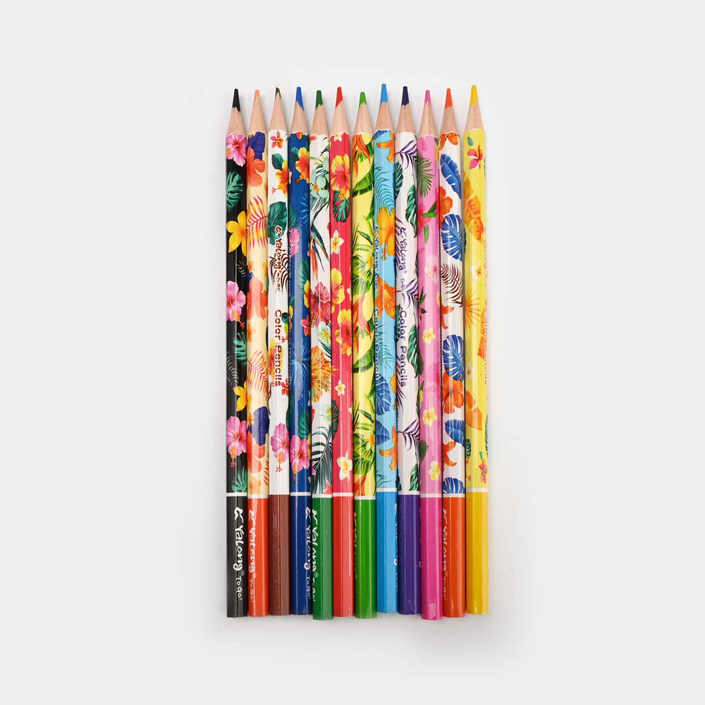 Color Pencil For Litte Artist