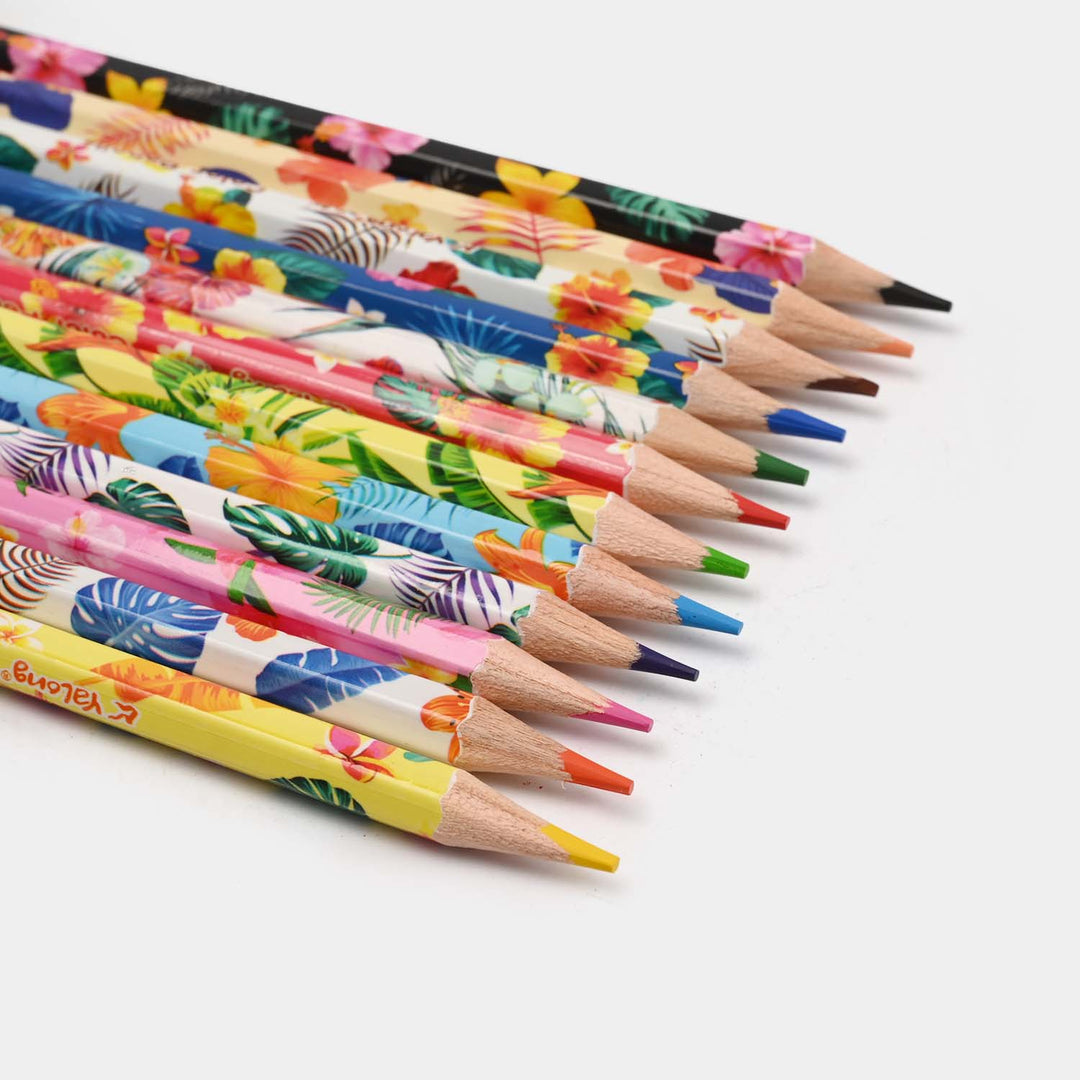 Color Pencil For Litte Artist