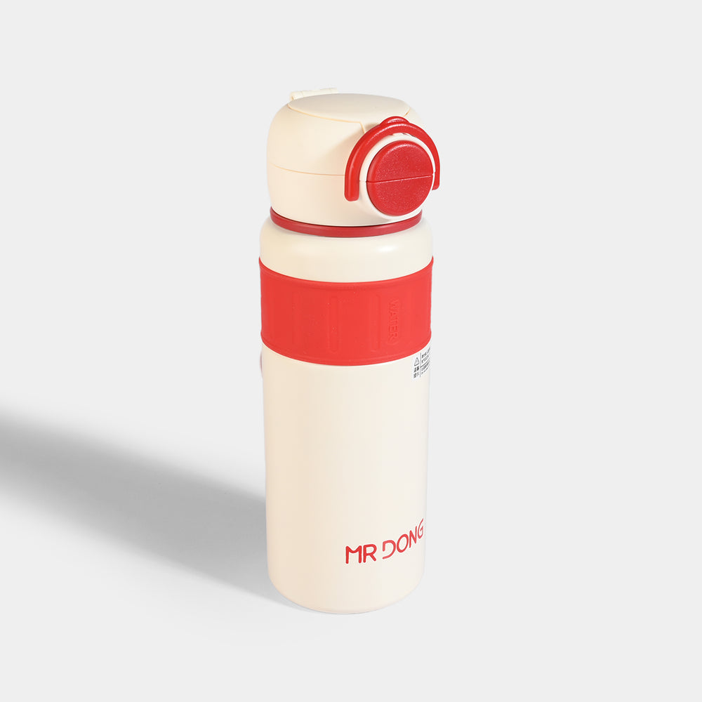 WATER BOTTLE STAINLESS STEEL|700ML