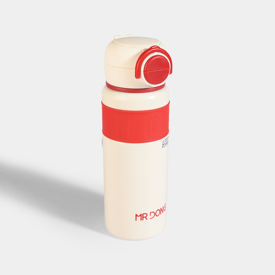 WATER BOTTLE STAINLESS STEEL|700ML