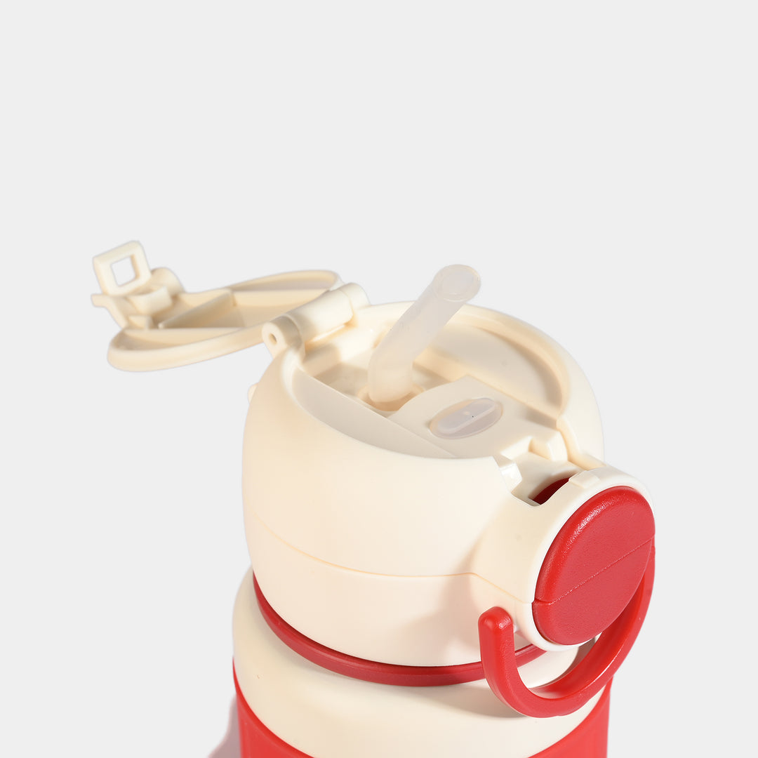 WATER BOTTLE STAINLESS STEEL|700ML