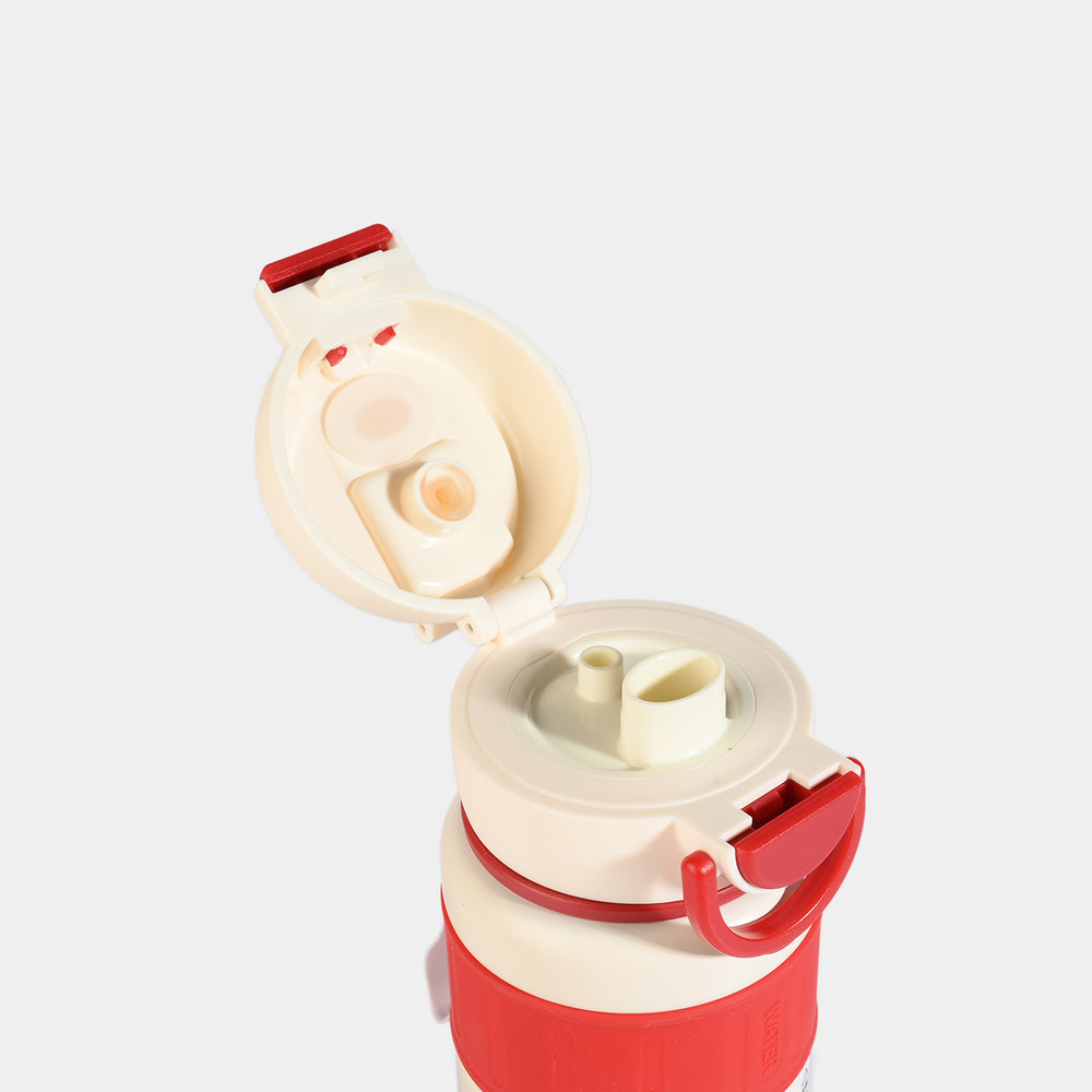 WATER BOTTLE STAINLESS STEEL|700ML