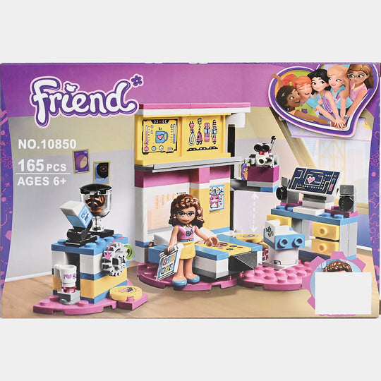 Girls Series Building Blocks 165Pcs 10850