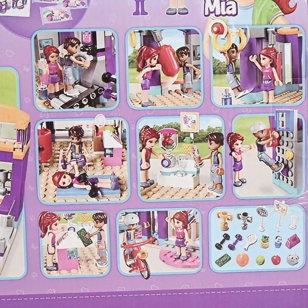 Girls Series Building Blocks 336Pcs 10610