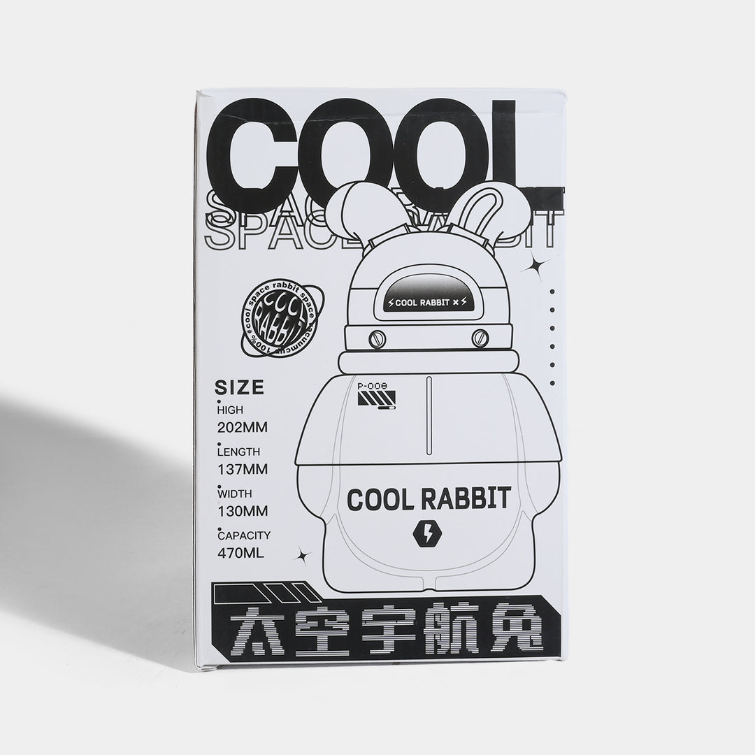 Water Bottle Steel | 470ml