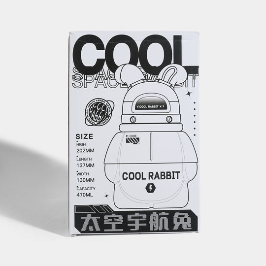 Water Bottle Steel | 470ml