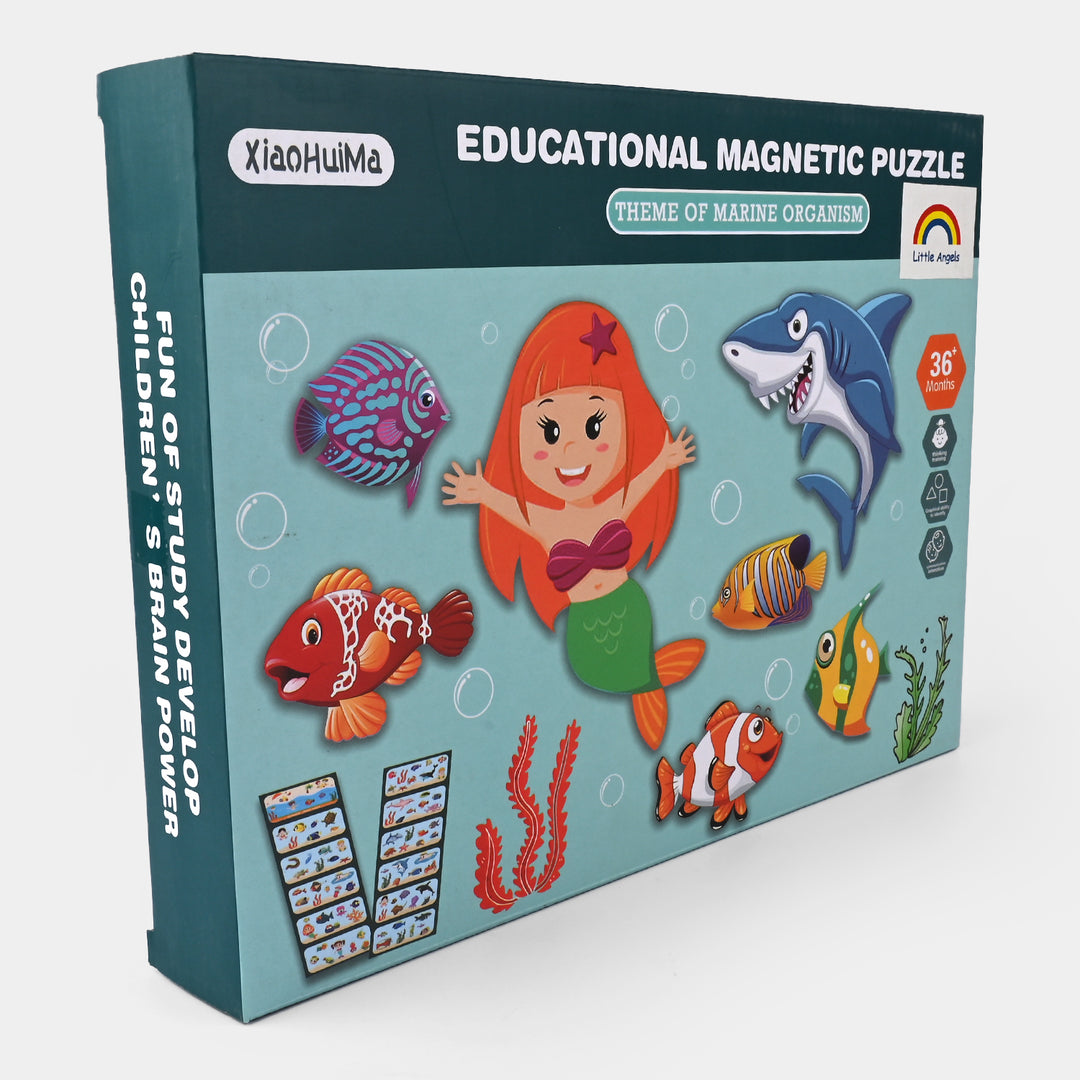 Educational Magnetic Puzzle Game