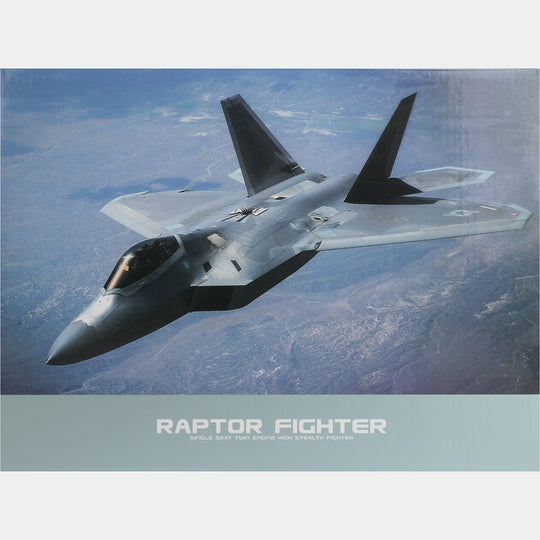 Remote Control Foam Glider - Raptor Fighter