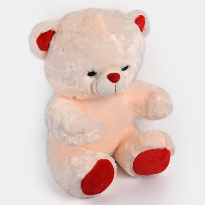 Teddy Bear Stuff Toy | 25CM