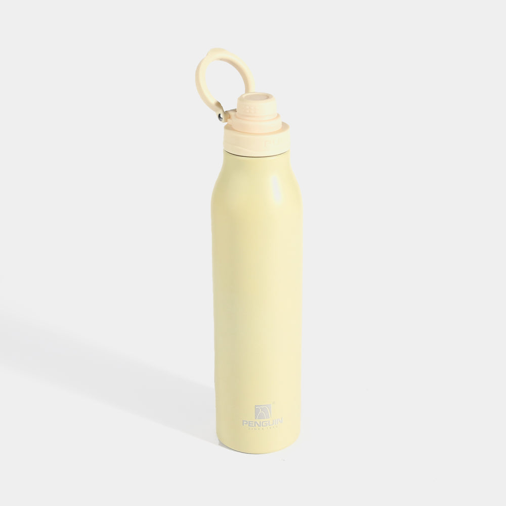 WATER BOTTLE STAINLESS STEEL