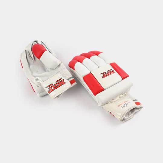 Cricket Batting Gloves