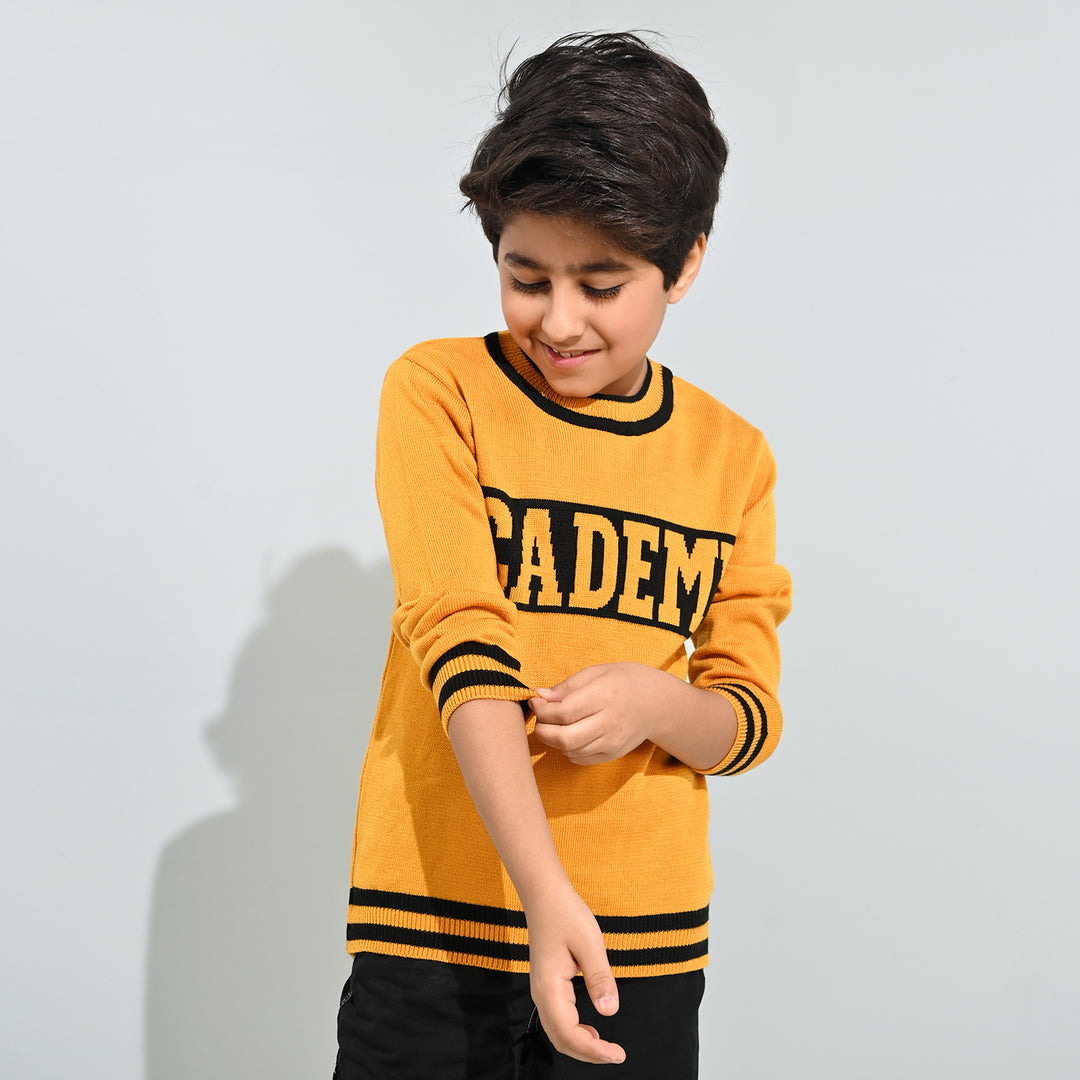Boys Acrylic Sweater-Academy-Citrus