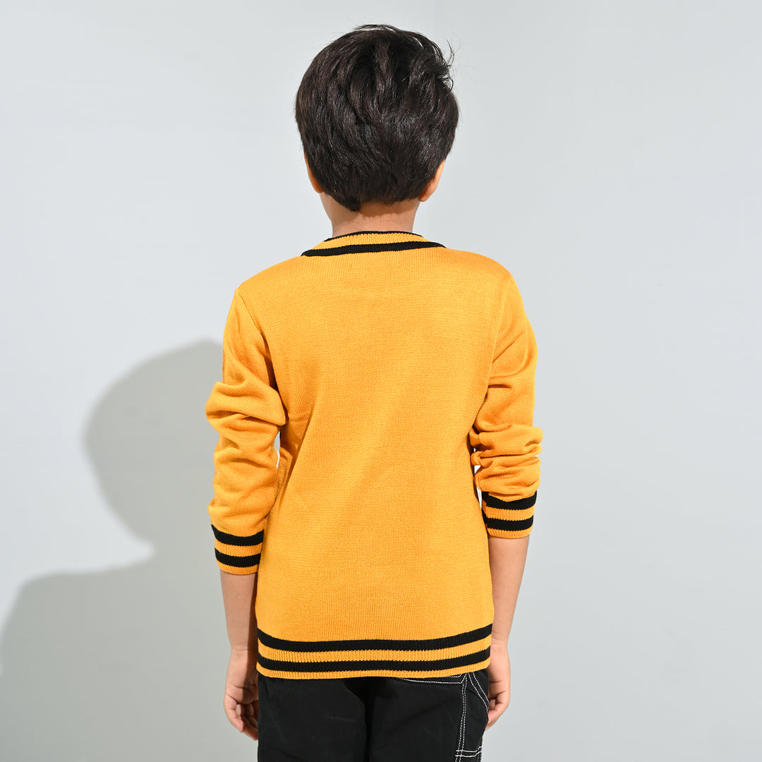 Boys Acrylic Sweater-Academy-Citrus