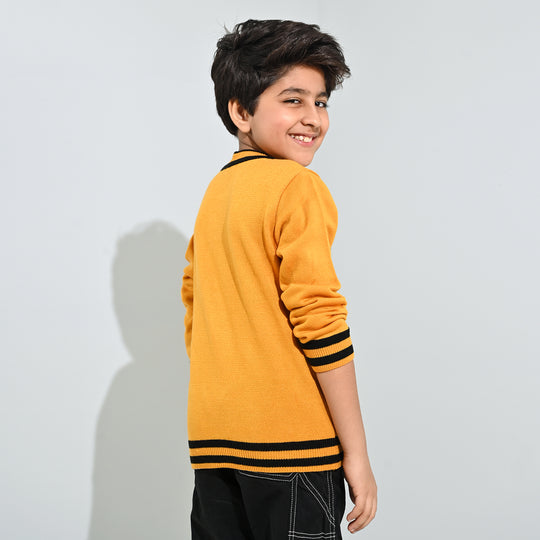 Boys Acrylic Sweater-Academy-Citrus
