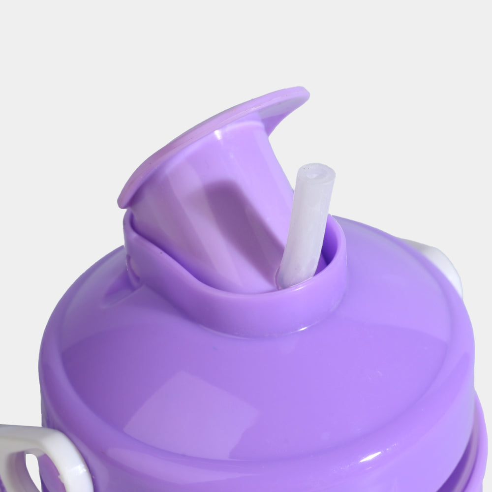 Puzzle Arena Bottle | 500ml | Purple