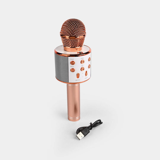 Microphone Speaker