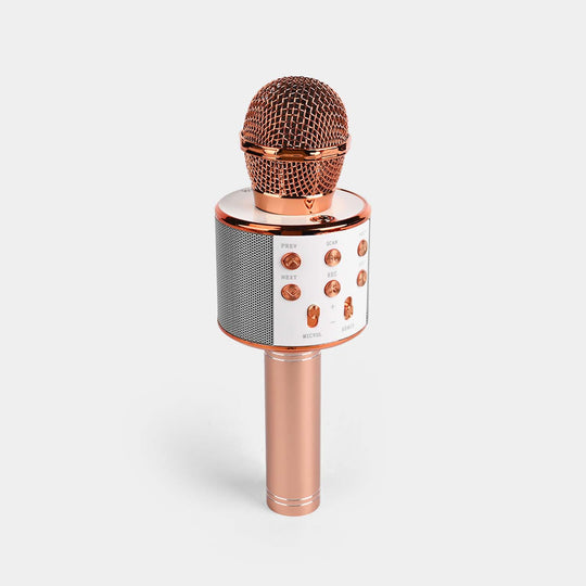 Microphone Speaker