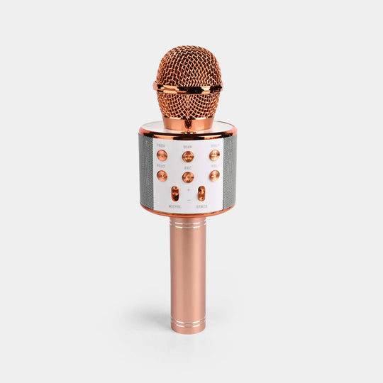 Microphone Speaker