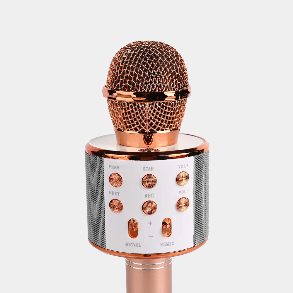 Microphone Speaker